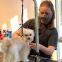 How to Prepare Your Home for a Mobile Dog Grooming Appointment