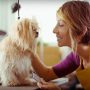 Fort Lauderdale Seasonal Grooming Advice for Pet Fur Babies to Keep Comfortable