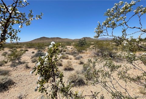 Lake Havasu City land for sale