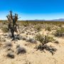 Commercial Land Near Lake Havasu: Insights and Opportunities