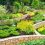 Sustainable planting techniques supporting long term landscape maintenance efficiency